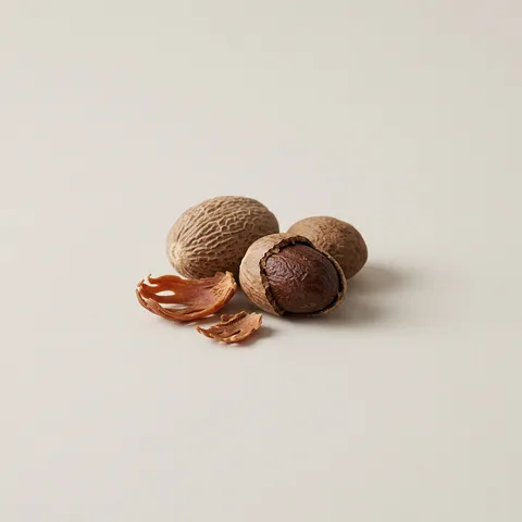Nutmeg
