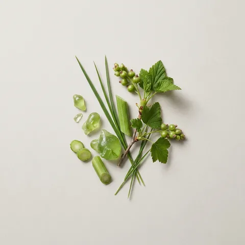 Green Notes