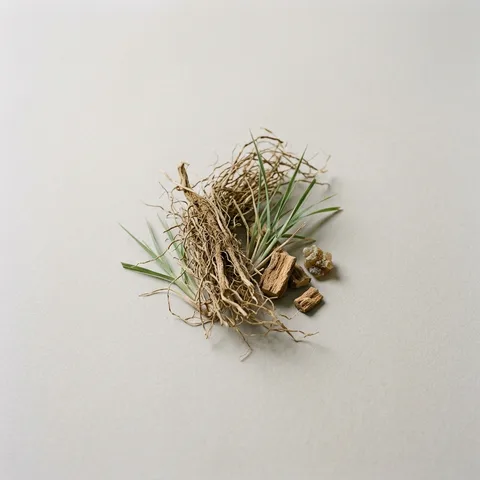 Vetiver