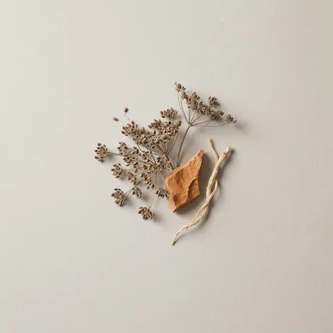 Carrot Seed