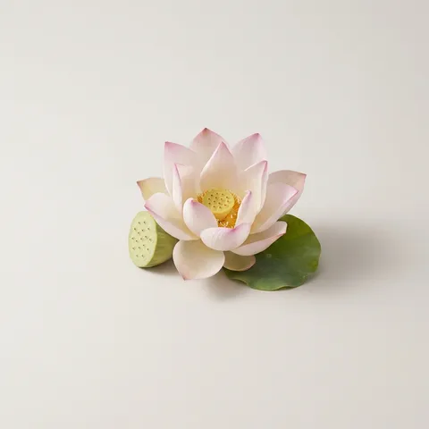 Lotus