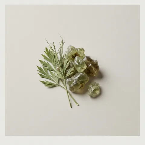 Galbanum