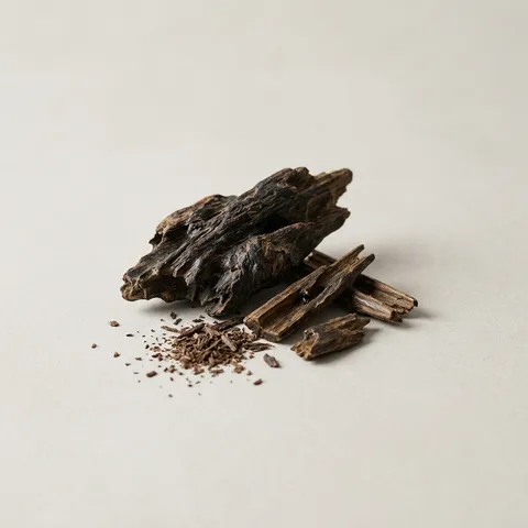 Oud