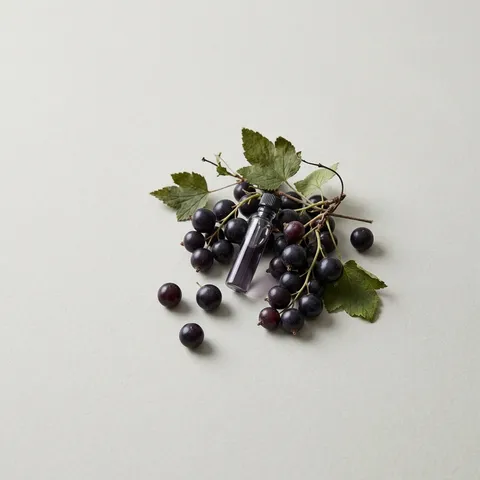 Blackcurrant