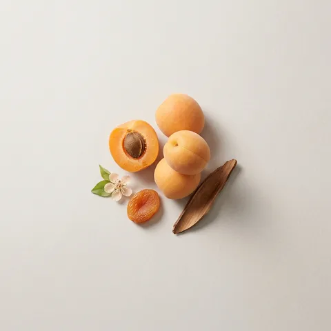 Apricot