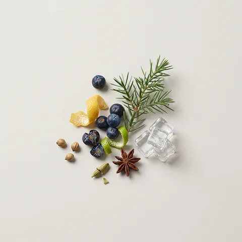Gin