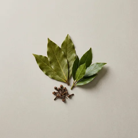 Bay Leaf