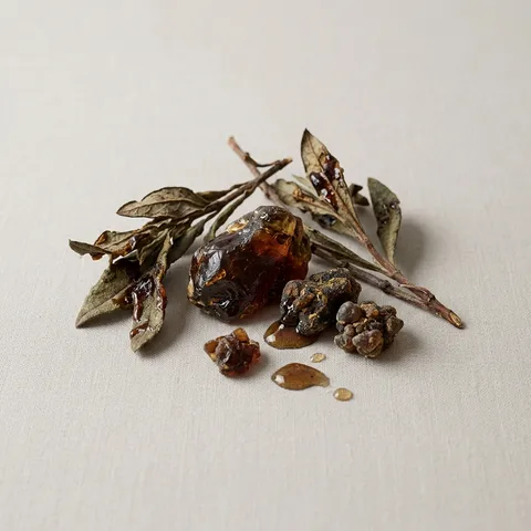 Labdanum