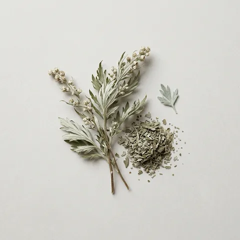 Artemisia