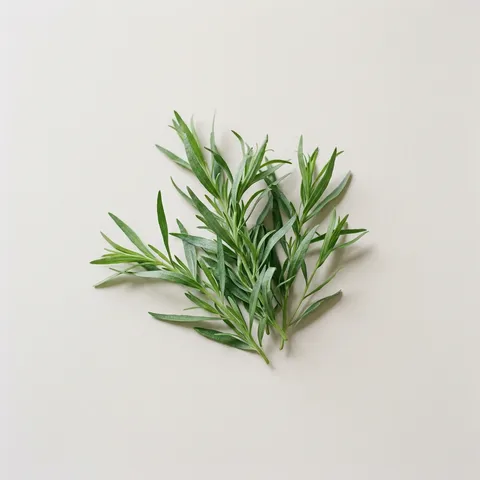 Tarragon