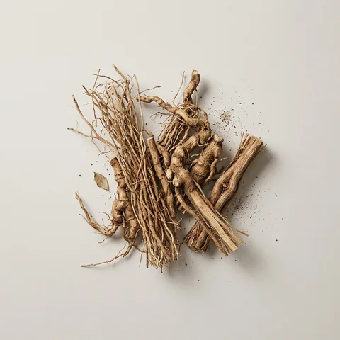 Vetiver Root