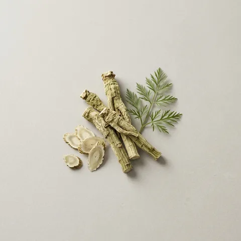 Angelica
