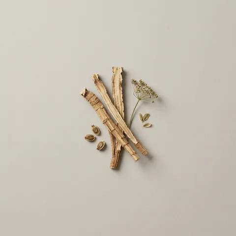 Angelica Root
