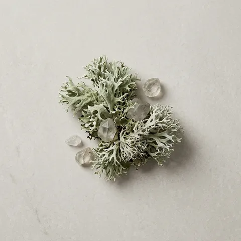 Crystal Moss