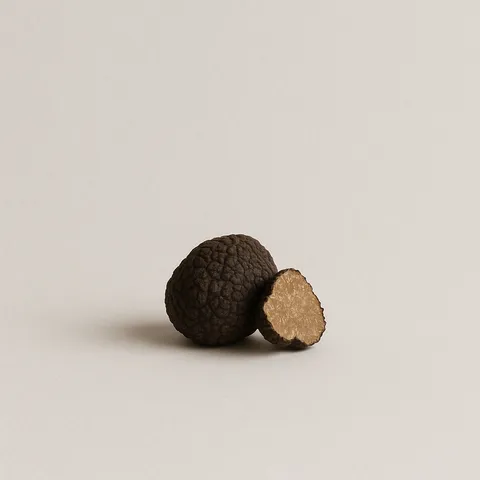 Truffle