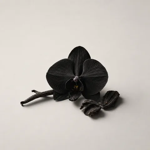 Black Orchid
