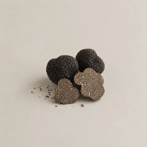 Black Truffle
