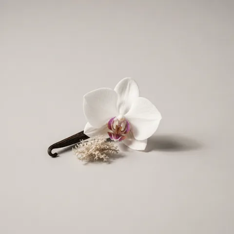 Orchid