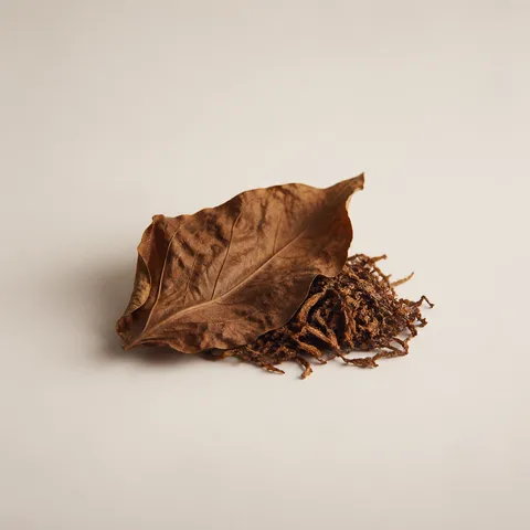 Tobacco Leaf