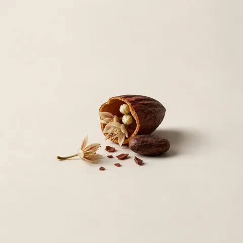 Cacao Flower