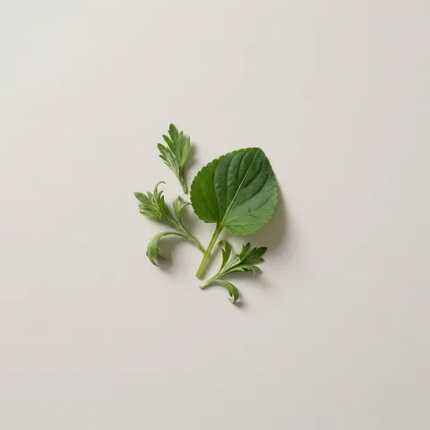 Green Leaf