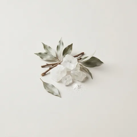 Camphor