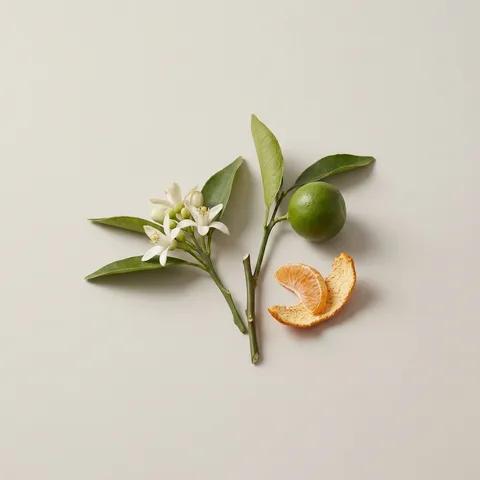Mandarin Blossom