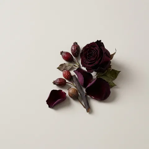 Dark Rose