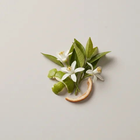 Grapefruit Blossom