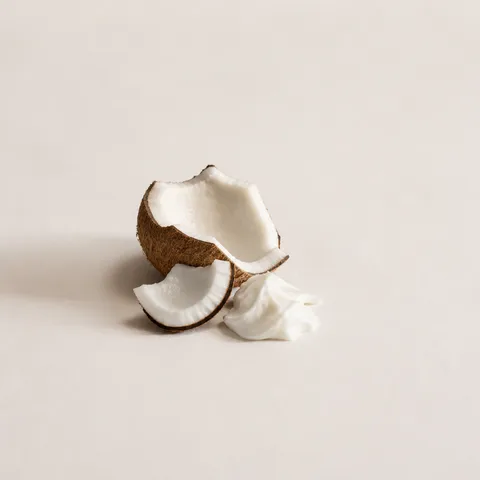 Coconut Milk