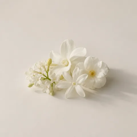 白い花
