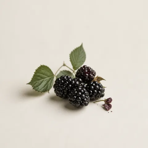 Blackberry