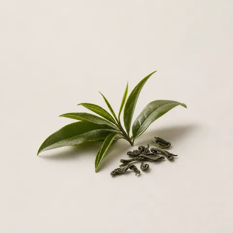 Tea Leaves