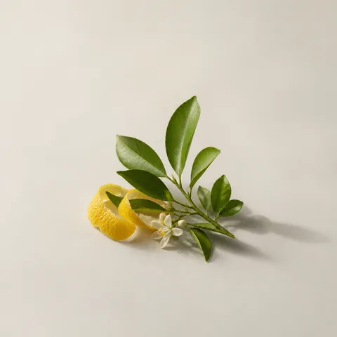 Lemon Tree Petitgrain