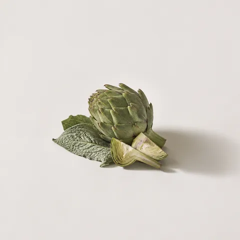 Artichoke