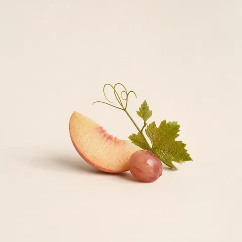 Pêche de Vigne
