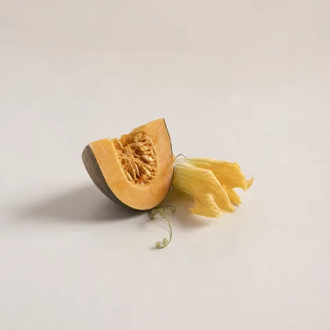 スカッシュ