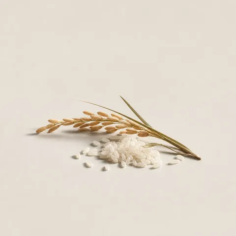 Rice