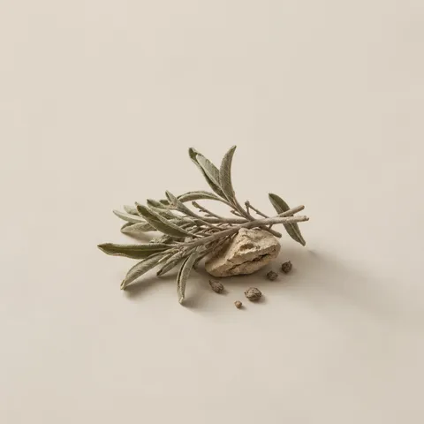 Desert Herb