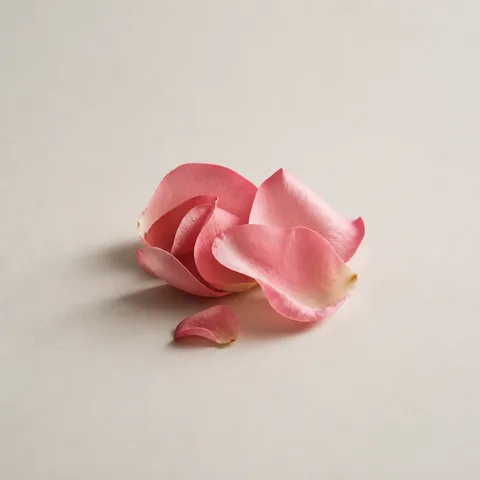 Rose Petals