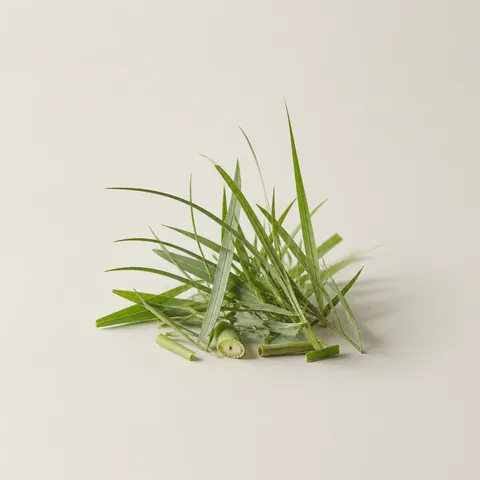 Fresh Grass