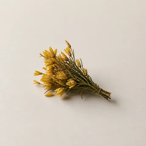 Broom