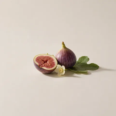 Fig Nectar