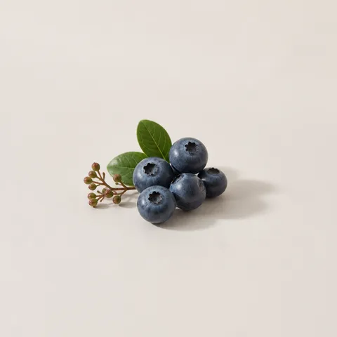 Blueberry