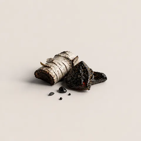 Birch Tar