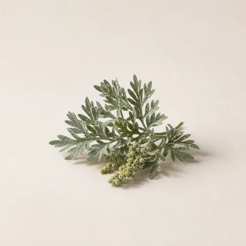 Wormwood