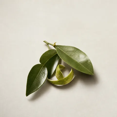 Sicilian Lemon Leaf