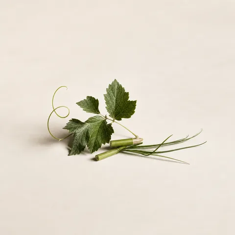 Vegetal