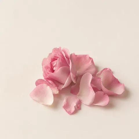Isparta Rose Petal