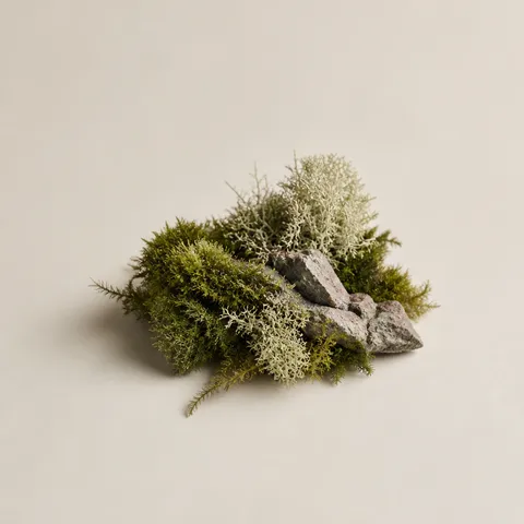 Mossy